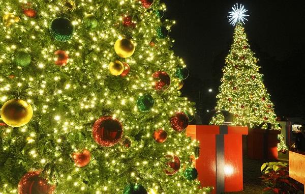南方今年开始了一个新的传统，在学生服务路和美国南路点亮了两棵32英尺高的圣诞树.